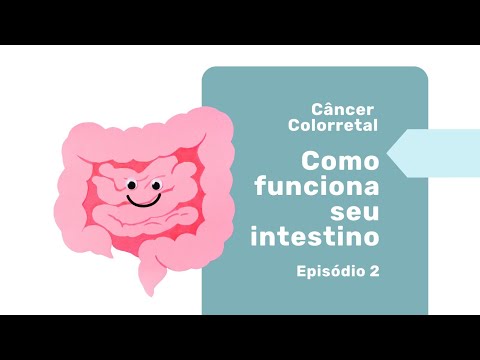 Vídeo