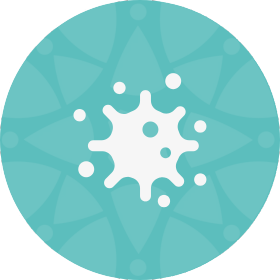 12. Tumores e lesoes