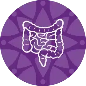 Gabriel Durigan Segala - Nutricionista em São Paulo no Instituto Medicina em Foco - Doença Inflamatória Intestinal